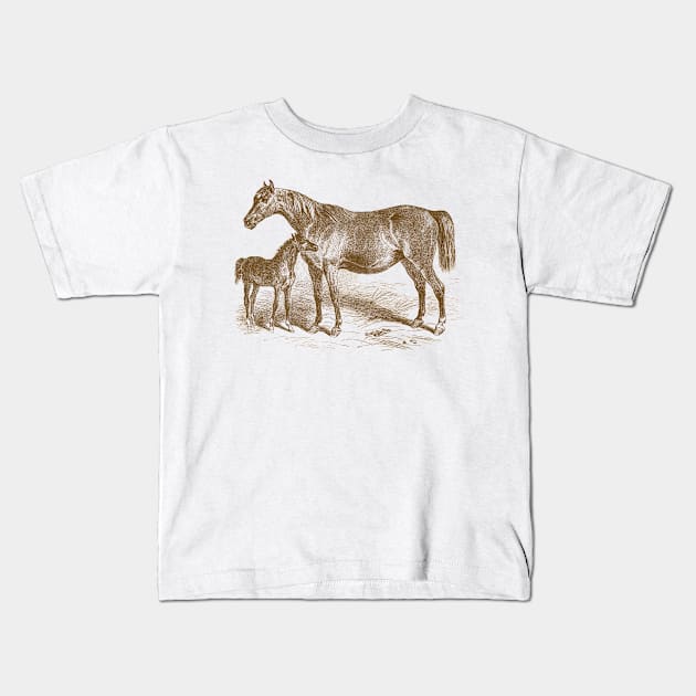 Arabian Horse Mare and Foal Vintage Illustration Kids T-Shirt by Biophilia